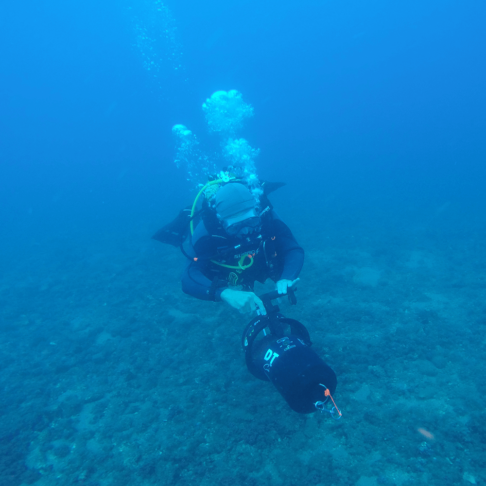 divemaster course